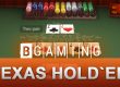 game Texas Holdem